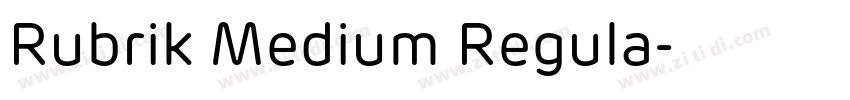 Rubrik Medium Regula字体转换